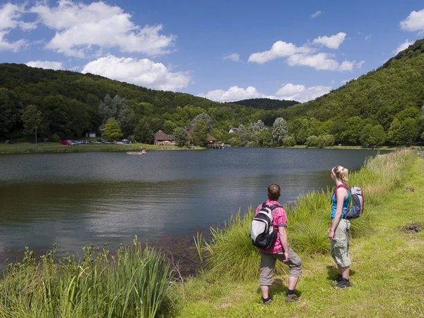 Waldseepfad Rieden - Blick auf den Waldsee
