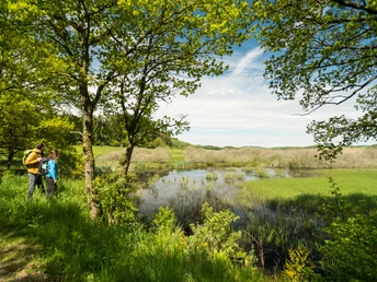 Naturschutzgebiet Mürmes am Vulcano-Pfad