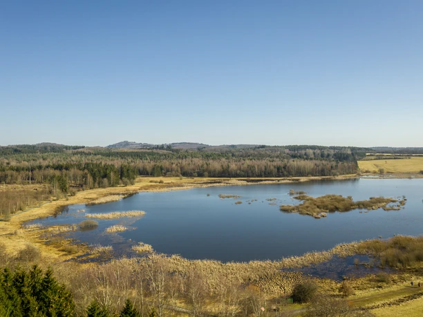 Der Jungferweiher bei Ulmen an der Vulkan-Rad-Route Eifel