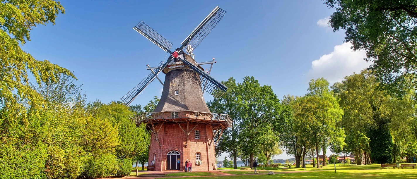 muehle-kurpark-freilichtmuseum-sommer.jpg Historische Windmühle im Kurpark, umgeben von grünen Bäumen unter blauem Sommerhimmel.