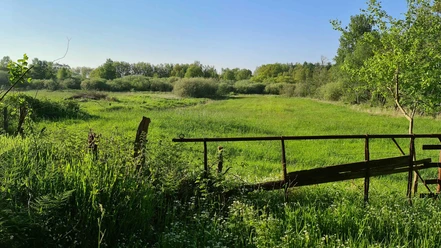 Weddingstedt Wanderweg 2