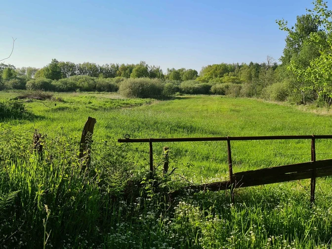 Weddingstedt Wanderweg 2