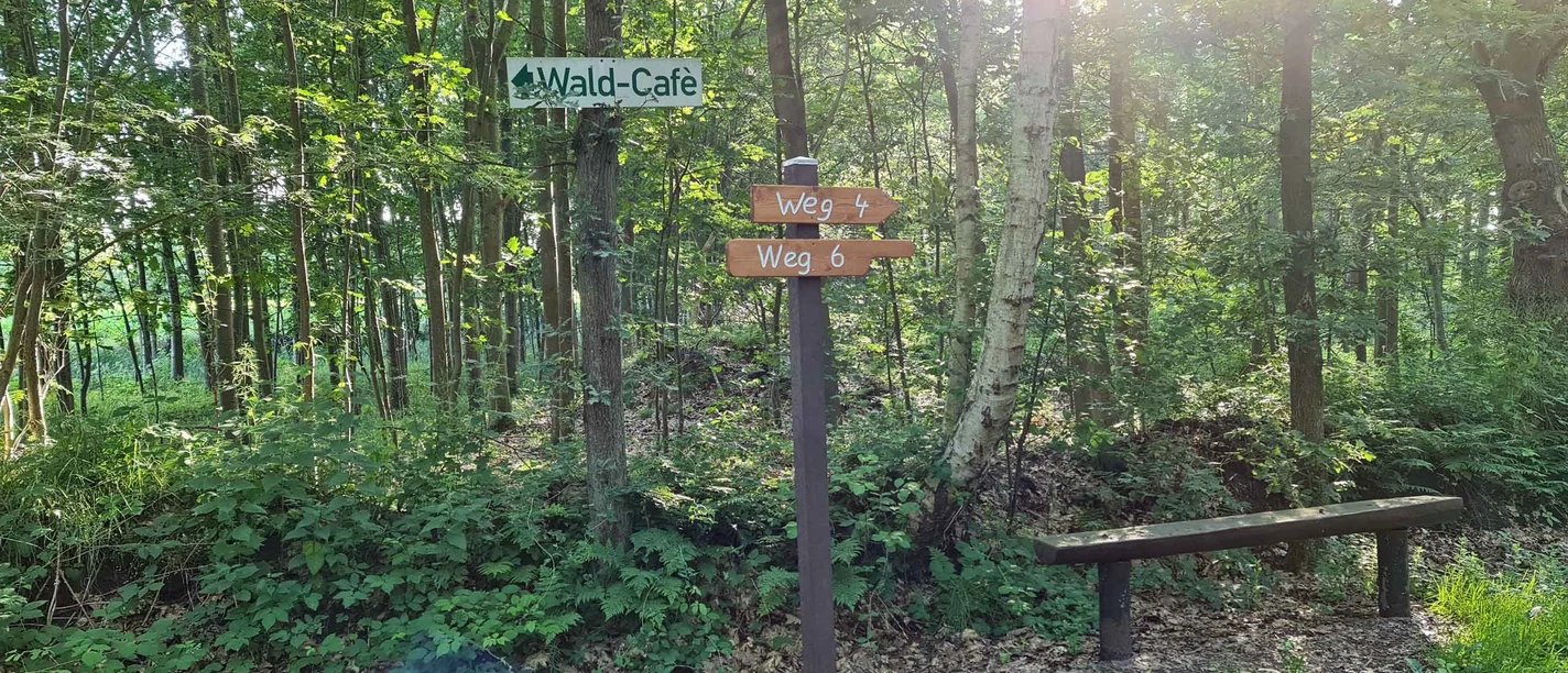 Weddingstedt Wanderweg 4