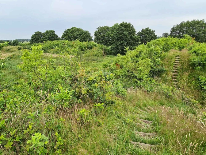 Weddingstedt Wanderweg 5