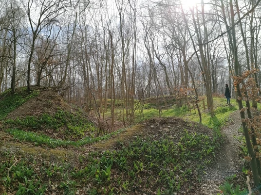Ruinen einer historischen Befestigungsanlage auf einer Lichtung umgeben von winterlichen Bäumen.