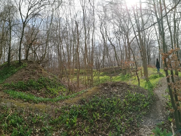 Ruinen einer historischen Befestigungsanlage auf einer Lichtung umgeben von winterlichen Bäumen.