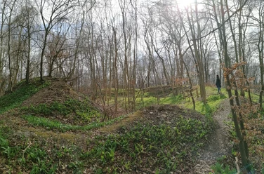 Alte Befestigungsanlage Schildburg Ruinen einer historischen Befestigungsanlage auf einer Lichtung umgeben von winterlichen Bäumen.