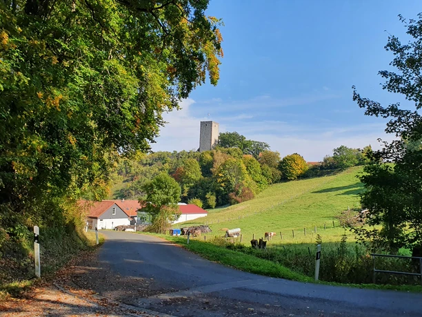 1Blick auf Greener Burg blick-auf-greener-burg