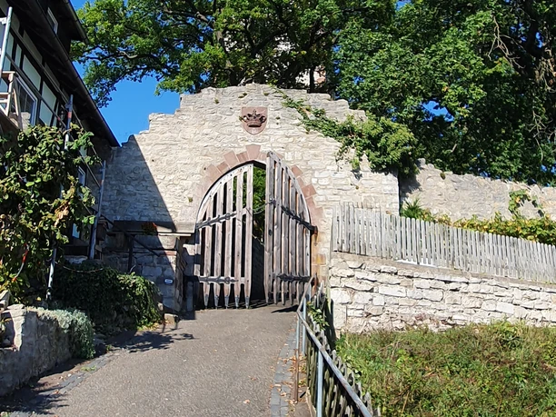 Weg zum Eingang der Burgruine