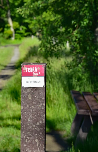 TERRA.track Ruller Bruch Holzbank an einem sonnigen Waldweg, umgeben von üppigem Grün.