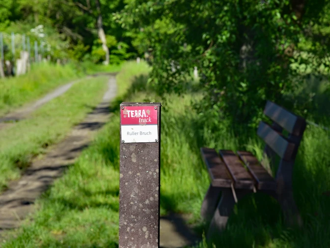 TERRA.track Ruller Bruch Holzbank an einem sonnigen Waldweg, umgeben von üppigem Grün.Wooden bench on a sunny forest path, surrounded by lush greenery.Træbænk på en solrig skovsti, omgivet af frodigt grønt.Houten bank op een zonnig bospad, omringd door weelderig groen.