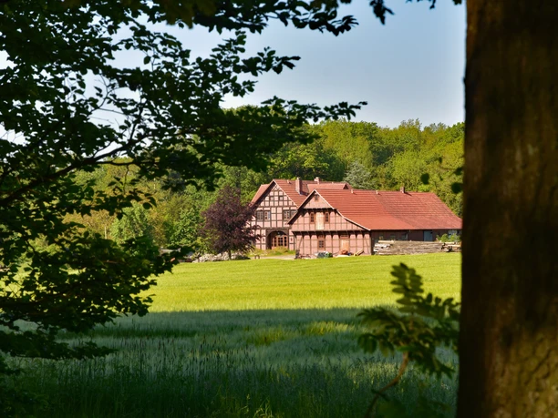 Vakwerkhuis omringd door groene velden en bomen in een landelijk zomerlandschap.
