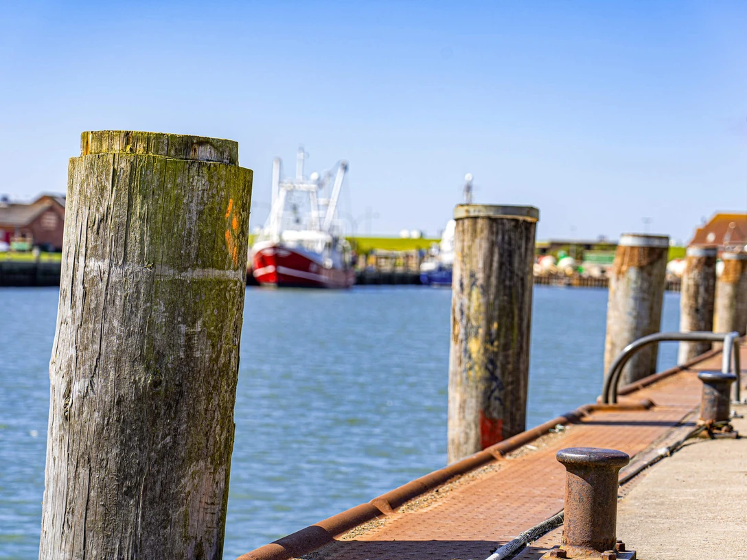 Dalben im Büsumer Hafen