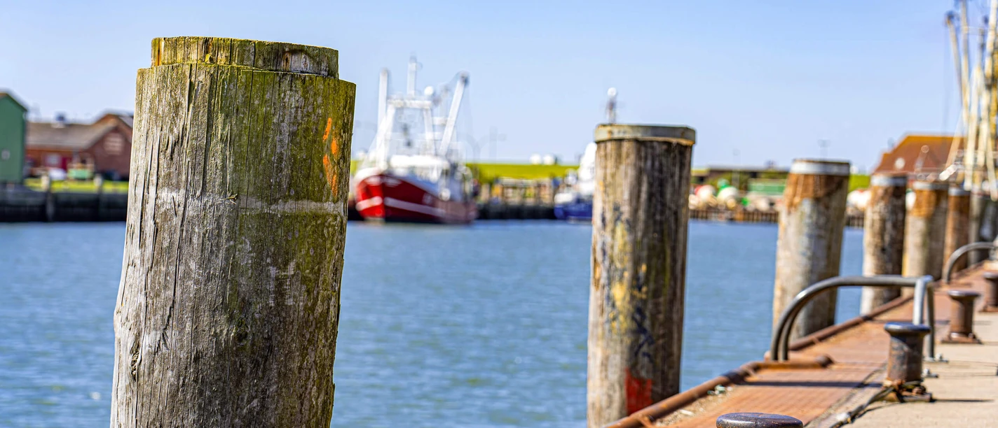 Dalben im Büsumer Hafen