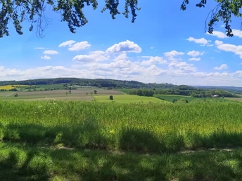 Aussicht am Westerberg (zwischen Kollerbeck und Schwalenberg) Weite, grüne Felder und sanfte Hügel erstrecken sich unter einem klaren, blauen Himmel.