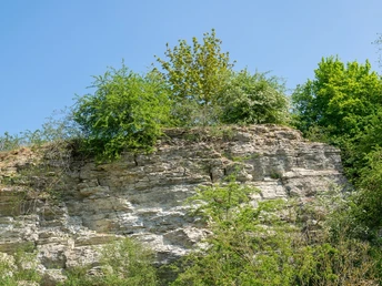 Ein imposanter, bewaldeter Felsen ragt majestätisch in den klaren blauen Himmel, umgeben von Grün.