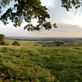 Weite Landschaft mit grünen Wiesen und sanften Hügeln unter wolkenbedecktem Himmel in der Ferne.