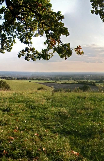 Weite Landschaft mit grünen Wiesen und sanften Hügeln unter wolkenbedecktem Himmel in der Ferne.