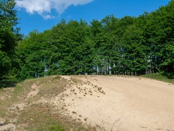 Kohlstädter Sanddüne Sanddüne vor dichtem Grün des Waldes, unter klarem blauen Himmel, liefert einzigartige Naturkulisse.