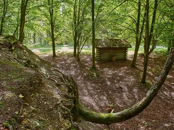 Eine kleine Holzhütte im Wald, umgeben von hohen Bäumen und herabfallenden Blättern im Herbst.