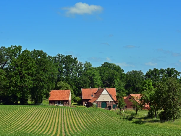 Drie bakstenen huizen met rode daken voor een veld en weelderige bomen.