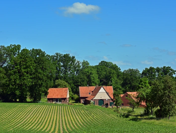 TERRA.track Kettelsberg Drei Backsteinhäuser mit roten Dächern vor einem Feld und üppigem Baumbestand.Three brick houses with red roofs in front of a field and lush trees.Tre murstenshuse med røde tage foran en mark og frodige træer.Drie bakstenen huizen met rode daken voor een veld en weelderige bomen.