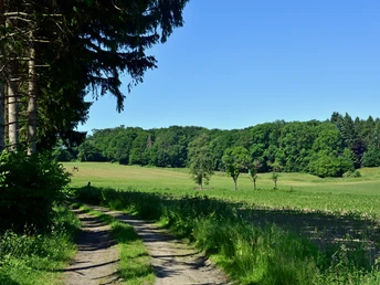 TERRA.track Kettelsberg Waldweg an einem grünen Feldrand mit blauem Himmel, umgeben von dichten Bäumen.