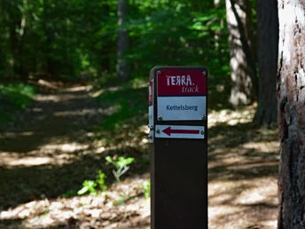 Wegweiser zum Wanderpfad Kettelsberg im schattigen Wald mit umgebenden hohen Bäumen.Signpost to the Kettelsberg hiking trail in the shady forest with surrounding tall trees.Skilt til vandrestien Kettelsberg i den skyggefulde skov omgivet af høje træer.Wegwijzer naar de Kettelsberg wandelroute in het schaduwrijke bos omringd door hoge bomen.