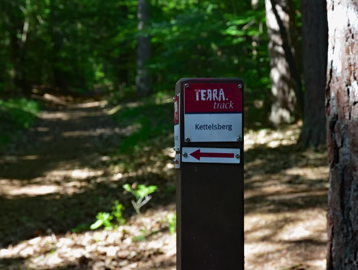 TERRA.track Kettelsberg Wegweiser zum Wanderpfad Kettelsberg im schattigen Wald mit umgebenden hohen Bäumen.Signpost to the Kettelsberg hiking trail in the shady forest with surrounding tall trees.Skilt til vandrestien Kettelsberg i den skyggefulde skov omgivet af høje træer.Wegwijzer naar de Kettelsberg wandelroute in het schaduwrijke bos omringd door hoge bomen.