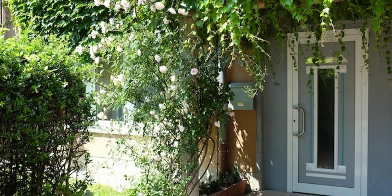 Fewo Fasanengarten in Königstein Fewo Fasanengarten in Königstein