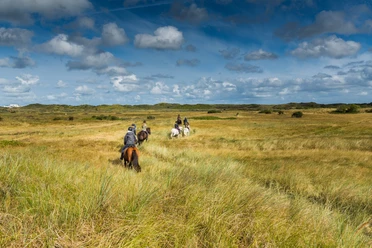 Auf dem Bild reiten Menschen auf Pferden durch eine weite, grasbewachsene Heidelandschaft unter einem bewölkten Himmel.In the picture, people are riding horses through a wide, grassy heath landscape under a cloudy sky.