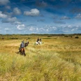 Auf dem Bild reiten Menschen auf Pferden durch eine weite, grasbewachsene Heidelandschaft unter einem bewölkten Himmel.In the picture, people are riding horses through a wide, grassy heath landscape under a cloudy sky.