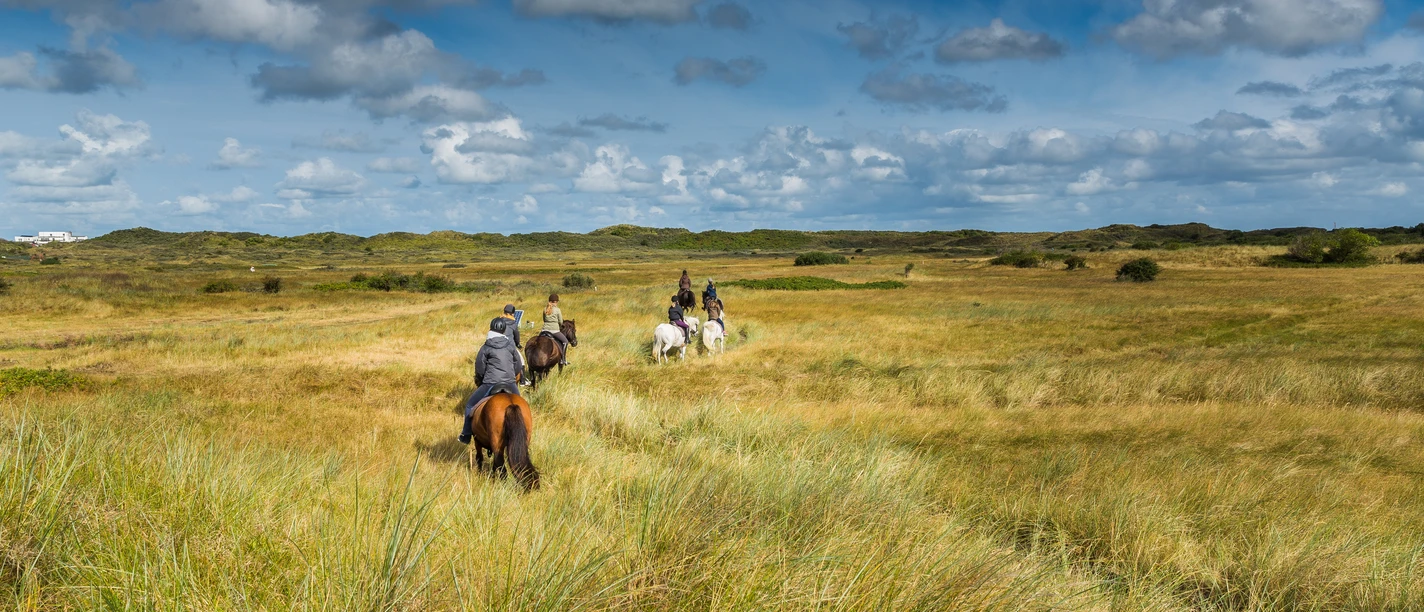 Auf dem Bild reiten Menschen auf Pferden durch eine weite, grasbewachsene Heidelandschaft unter einem bewölkten Himmel.In the picture, people are riding horses through a wide, grassy heath landscape under a cloudy sky.