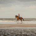 Ein Reiter in Helm auf einem Pferd am Sandstrand mit Wellen im Hintergrund.A rider in a helmet on a horse on a sandy beach with waves in the background.