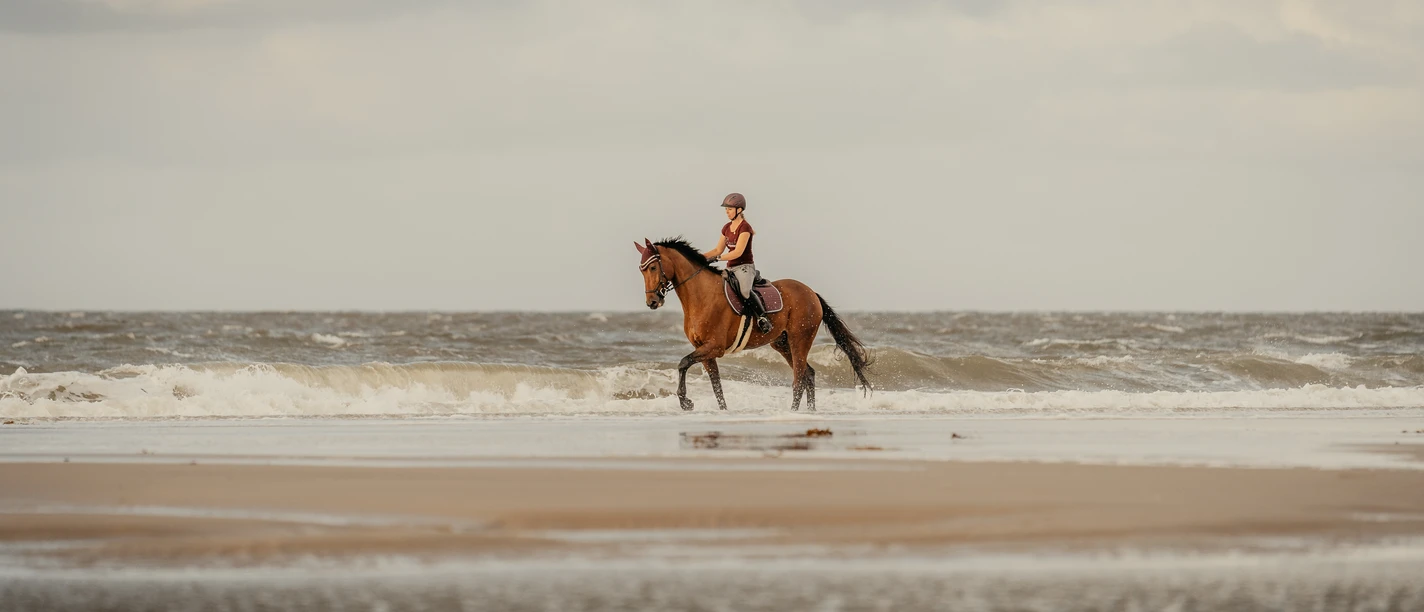 Ein Reiter in Helm auf einem Pferd am Sandstrand mit Wellen im Hintergrund.A rider in a helmet on a horse on a sandy beach with waves in the background.