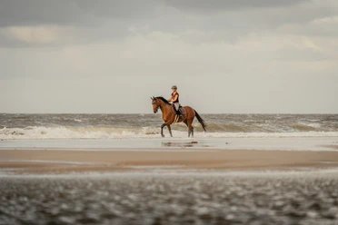 NBG-182.jpg Ein Reiter in Helm auf einem Pferd am Sandstrand mit Wellen im Hintergrund.