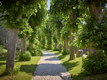 Wallfahrtskirche St. Marien Schöppenstedt