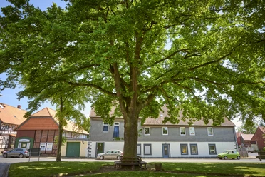 Rastplatz unter der alten Eiche in Watzum Rastplatz unter der alten Eiche in Watzum