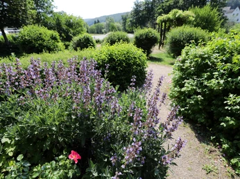 Kneipp-Kurpark Bad Endbach Kneipp-Kurpark Bad Endbach