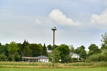 Storchennest Werlaburgdorf Storchennest Werlaburgdorf