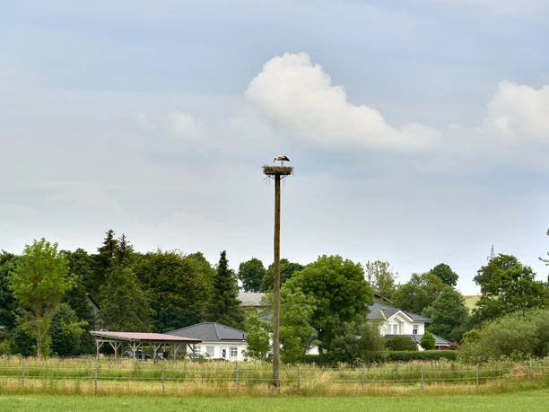 Storchennest Werlaburgdorf Storchennest Werlaburgdorf