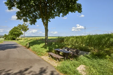 Rastplatz an der B82 bei Schöppenstedt Rastplatz an der B82 bei Schöppenstedt