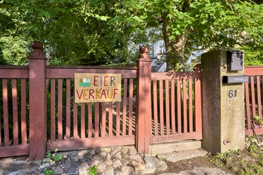 Eierkiste Sehlde Eierkiste Sehlde