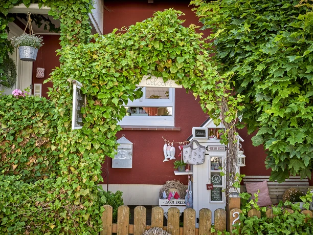 Das kleine Landei Das kleine Landei