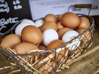 Hofladen Grüne Berta