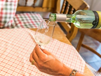 Wein Exkursion Julius Renner Verkostung Weisswein Wein Exkursion Julius Renner Verkostung Weisswein