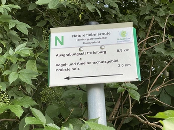 Wanderschild zur Schwedenschanze.jpeg