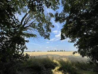 Aussicht Schwedenschanze Feldblick.jpeg