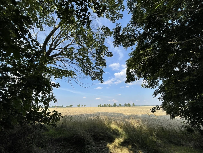 Aussicht Schwedenschanze Feldblick.jpeg