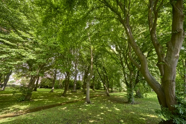 Park am Ententeich Park am Ententeich